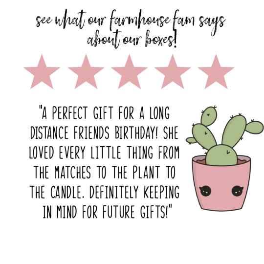 Single Succulent Gift Box