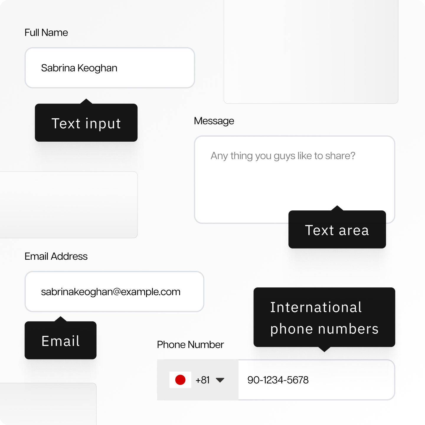 Custom Text Field (Text, Textarea, Numbers, Phone, Email)