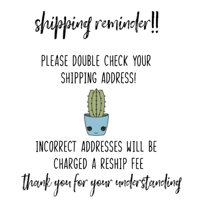 Single Succulent Gift Box