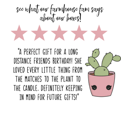 Single Succulent Gift Box